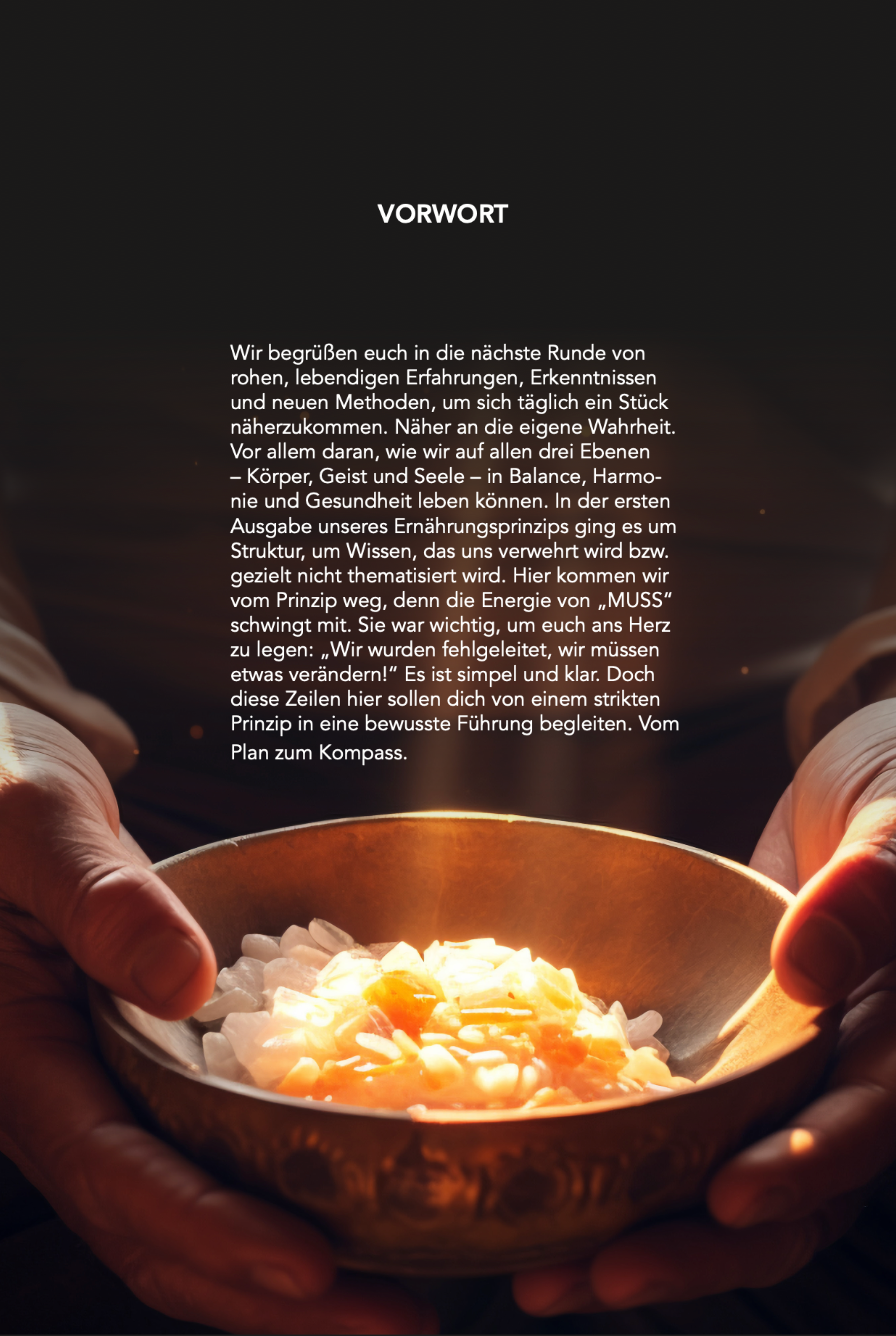 Ernährung-Kompass